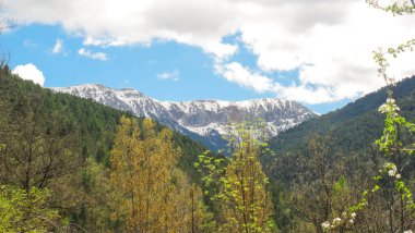 beautiful view of the nature, mountain with snow in background