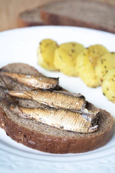 Canned sprats on rye bread served with herb baked potatoes — Stock Image Canned Sprats Rye Bread Served Herb Baked Potatoes Stock Picture