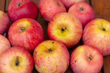 sulu ve büyük kırmızı - sarı elma tablo