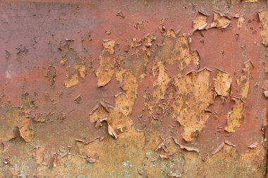 eski püskü metal duvar pas ve yosun kaplı