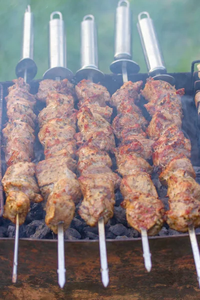 Cinque Spiedini Con Pezzi Kebab Shish Profumato — Foto Stock