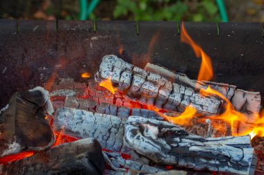 Yangın alevler seyir aşçı yemek, sıcak ve sadece hayal, bir fırsattır