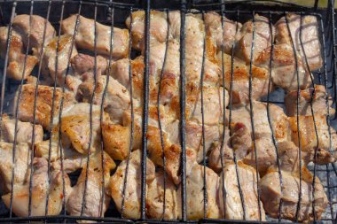 İlk kabuk et üzerinde ortaya çıktı ve bir delik yayılmaya başladı