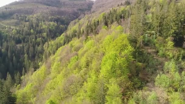 Полет над лесом с лифтами в горах. Вид с воздуха на Украинские Карпаты — стоковое видео