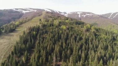 Ormanın derinliklerinde dağların üzerinden uçuş. Ukrayna Karpatlar havadan görünümü