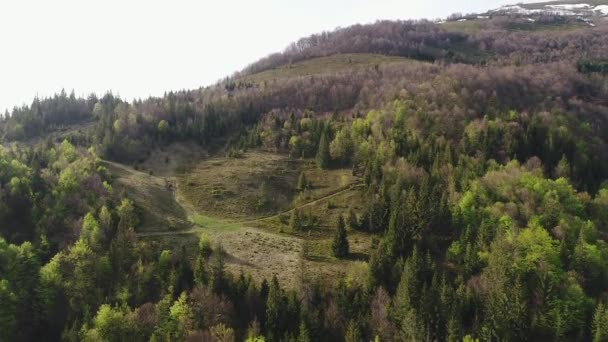 Vuelo sobre el bosque en las montañas. Vista aérea de los Cárpatos Ucranianos — Vídeos de Stock