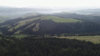 Ormanın derinliklerinde dağların üzerinden uçuş. Ukrayna Karpatlar havadan görünümü