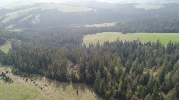 Otočte po lese v horách. Letecký pohled na ukrajinských Karpat — Stock video