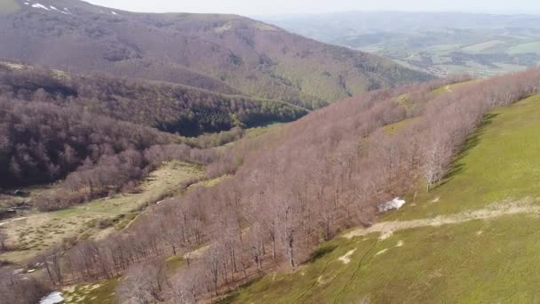Let nad jarní Les v horách. Letecký pohled na ukrajinských Karpat — Stock video