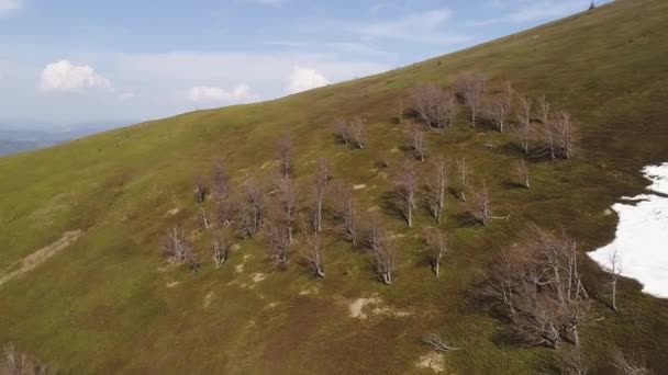 Bitki örtüsü ile karla kaplı alanlar olmadan uçuş üzerinde dağ yamaçlarında. Ukraynalı Karpatlar — Stok video