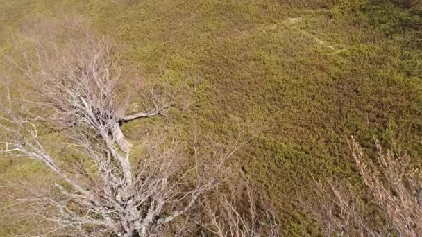 Survol des pentes de montagne sans végétation avec des zones enneigées. Carpates ukrainiennes 