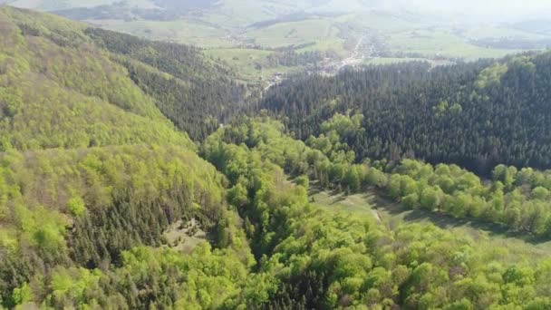 Survolez la forêt dans les montagnes et le village. Vue aérienne des Carpates ukrainiennes — Video