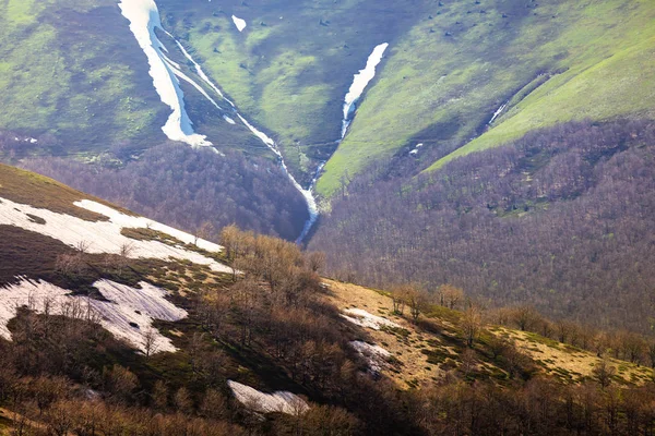Весенние горы с зеленой травой — стоковое фото