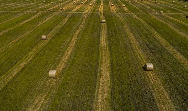 Вид з повітря на зелене поле зі стопами сіна — стокове фото