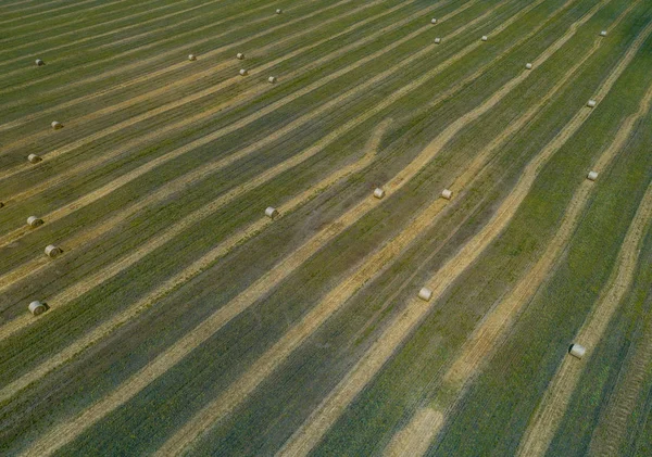 Flygfoto över ett grönt fält med höstackar — Stockfoto