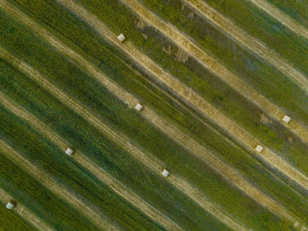 Pemandangan udara dari lapangan hijau dengan tumpukan jerami — Stok Foto