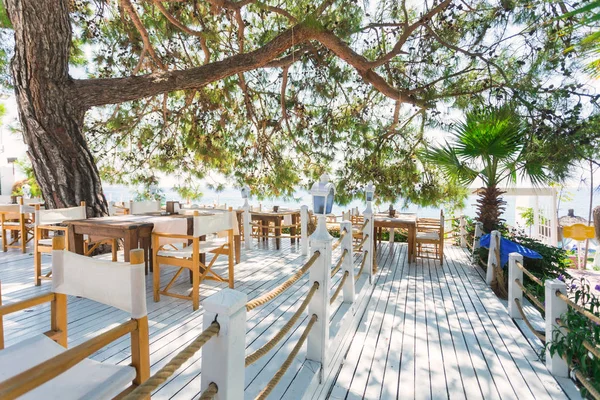 Restaurant with tables on a snow-white terrace overlooking the sea under pine branches.