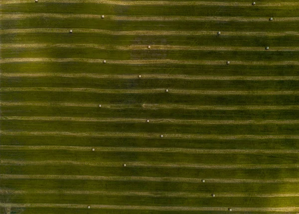Aerial view of a green field with haystacks — Stock Photo, Image