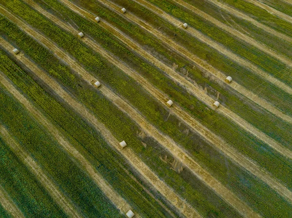 Aerial view of a green field with round haystacks. Wastes from agro-industry. Feed for livestock. Pattern