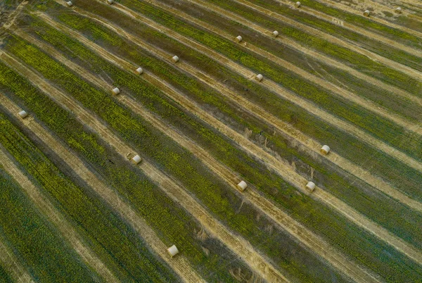 Вид с воздуха на зеленое поле с стогами сена — стоковое фото