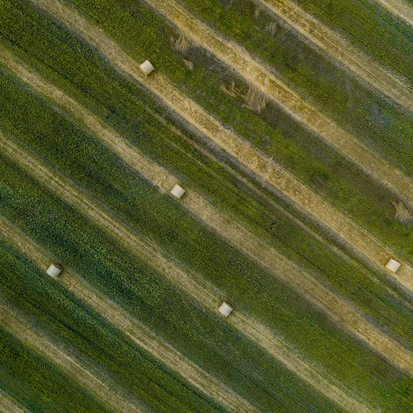 Αεροφωτογραφία του ένα πράσινο λιβάδι με θημωνιές — Φωτογραφία Αρχείου