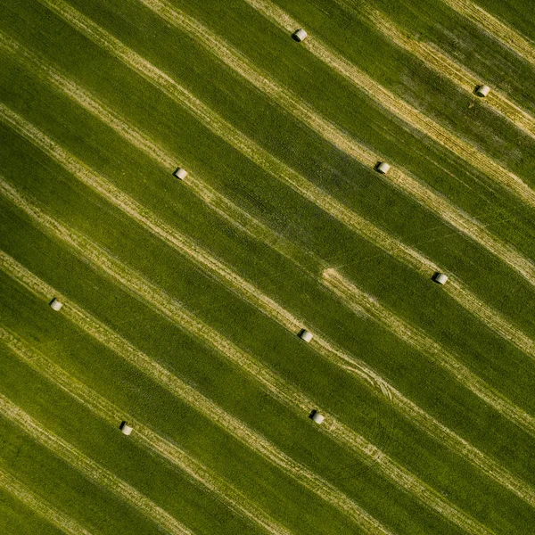 A légi felvétel a zöld mező a Szénaboglyák — Stock Fotó