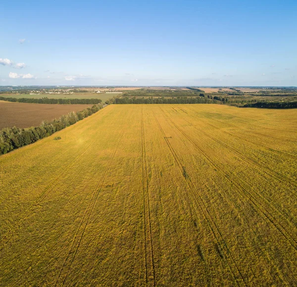 Вид з повітря на поле з осіннім врожаєм . — стокове фото