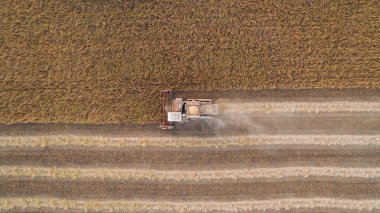 Çalışma alanı ve Mowser soya hasat. Ukrayna. Havadan görünümü.