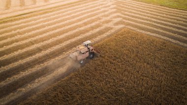 Çalışma alanı ve Mowser soya hasat. Ukrayna. Havadan görünümü.