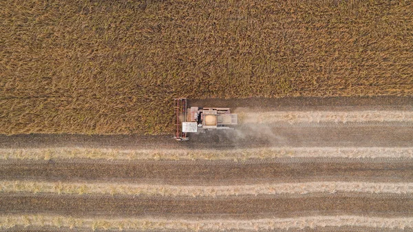 Kombajn do pracy w polu i kosi soi. Ukraina. Widok z lotu ptaka. — Zdjęcie stockowe