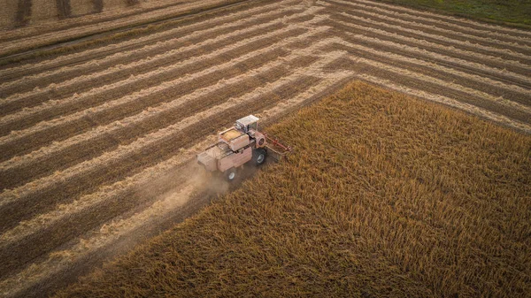 在田间和割大豆的收割工。乌克兰。鸟瞰. — 图库照片