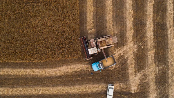 Stary kombajn retro zwalnia nasiona soi tył ciężarówki do transportu do spichlerza. Ukraina. Widok z lotu ptaka. — Zdjęcie stockowe