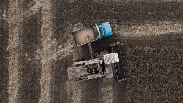 Stary kombajn retro zwalnia nasiona soi tył ciężarówki do transportu do spichlerza. Ukraina. Widok z lotu ptaka. — Zdjęcie stockowe