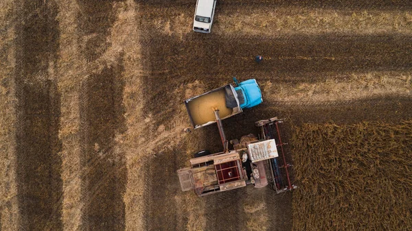 Een oude retro combineren verwijderd soja zaden in de achterkant van een vrachtwagen voor vervoer naar de graanschuur. Oekraïne. Luchtfoto. — Stockfoto