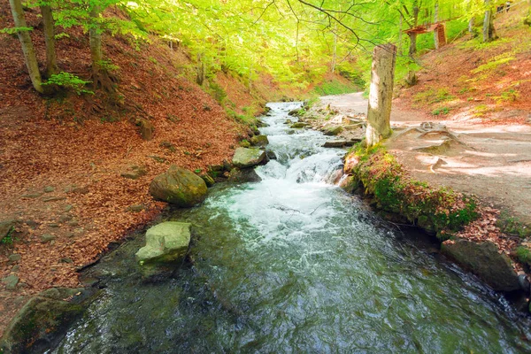 Karpatlar Ulusal Park'ta bir nehirde. — Stok fotoğraf