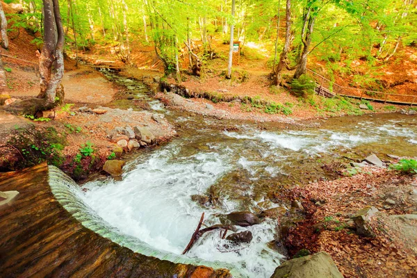 Een rivier in een nationaal park in de Karpaten. — Stockfoto