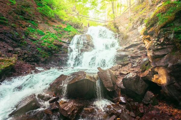Ukraynalı Karpatlar şelale Shipot
