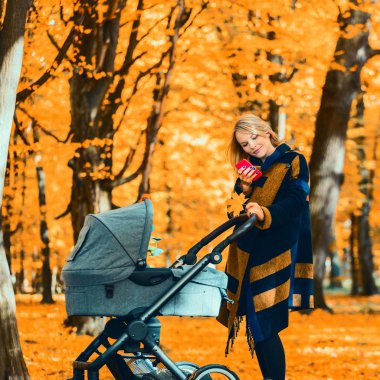 Parkta bir cep telefonu bakarak bir bebek arabası ile genç anne