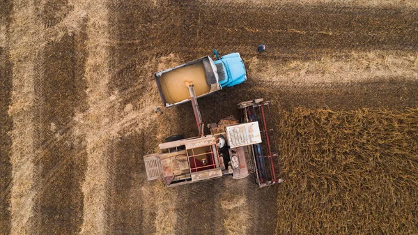 오래 된 복고풍 결합은 곡창에 수송 트럭 뒤 콩 씨앗을 언로드합니다. 우크라이나. 공중 보기. — 스톡 사진