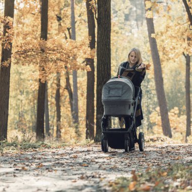 Genç bir anne bir bebek arabası ile sonbahar parkta yürüyor