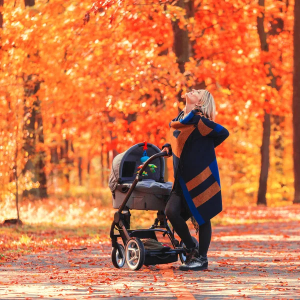 Genç bir anne bir bebek arabası ile sonbahar parkta yürüyor — Stok fotoğraf