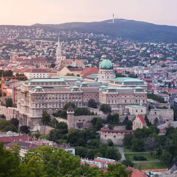 Kraliyet Sarayı Budapeşte panoramik manzarasını alacakaranlıkta — Stok fotoğraf