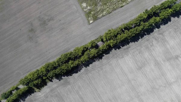 Aerial view of the plowed field — Stock Photo, Image