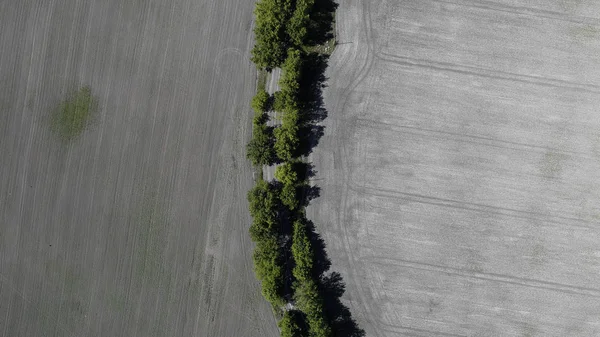 Luchtfoto van het geploegd veld — Stockfoto