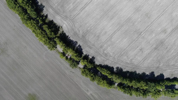 Vue aérienne du champ labouré — Photo