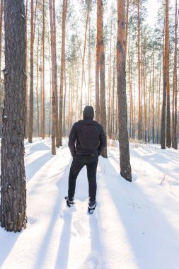 Bir adam kış Ormanda yürür