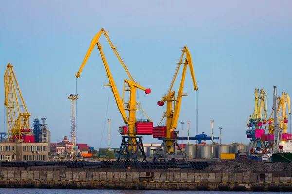Вантажні портові крани на тлі блакитного неба — стокове фото