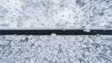 Romantik yolun karla kaplı kış ormanın içinden geçen hava görünümünü. Üstten görünüm