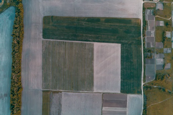 Vista aérea de um campo cortado em diferentes partes. Ornamento natural — Fotografia de Stock