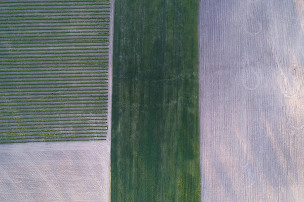 Vista aérea de um campo cortado em diferentes partes. Ornamento natural — Fotografia de Stock